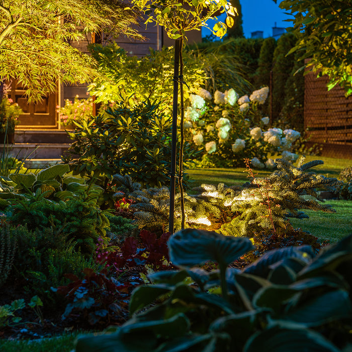 Verlicht je tuin met sfeer: kleurtemperatuur voor led tuinverlichting