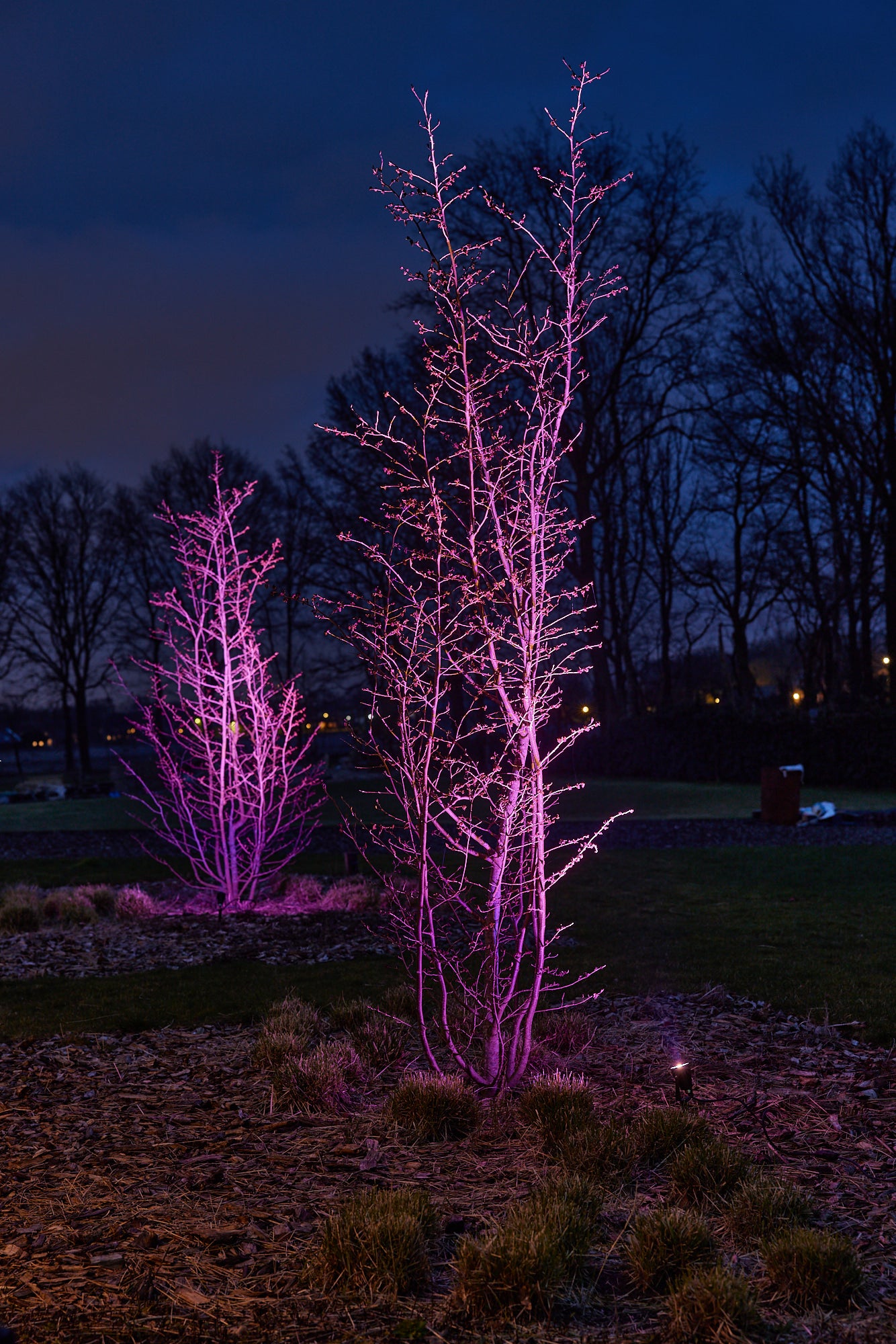 Choco closet◎　0724 Choco closet◎ 0724 Women's ZX/1 Dual Strap Cloud Wide Width